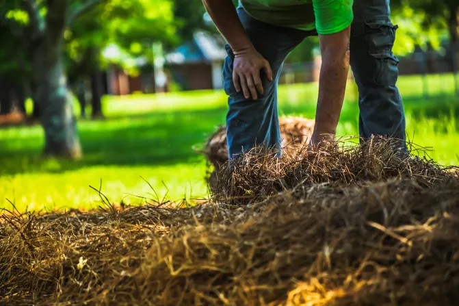 Grounds maintenance Thumbnail